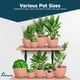 thumbnail image 4 of Macetas Lifemaster 3 piezas rosa apilables 18 cm 17 cm 15 cm, 4 of 7