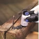 thumbnail image 4 of Hojas de sierra oscilantes EZARC de carburo para materiales duros, paquete de 3, 4 of 7