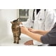 thumbnail image 4 of Pack Snack Para Mascotas Gatos Churu Pops Atún 12 Tubos Inaba, 4 of 5