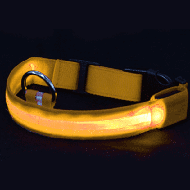 Collar LED para perro recargable por USB: collar luminoso brillante y de alta visibilidad para paseos nocturnos de mascotas.