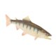 thumbnail image 4 of Simulación De Animales Del Océano Modelo Figura Juguetes Educativos Salmón, 4 of 5