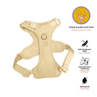 Arnes Basico Beige Talla L 1 Un Peps