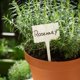 thumbnail image 5 of Tapones para cápsulas de semillas para jardines hidropónicos con alimento para plantas - 10 cápsulas, 5 of 7