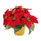 thumbnail image 2 of Planta De Poinsettia Roja Artificial De Navidad De Poinsettia Roja En Maceta Para Mesa, 2 of 5