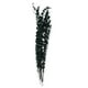 thumbnail image 1 of Rama Decorativa Natural Verde, 1 of 3