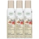 thumbnail image 1 of Ambientador en aerosol Citrus Magic Sweater Weather 90 ml x3, 1 of 7