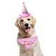 thumbnail image 5 of Bufanda de feliz cumpleaños para mascota, gato, perro y lindo sombrero de fiesta, sombrero de cumpleaños para niña y niño, conjunto de disfraces de fiesta de cumpleaños para mascota, 5 of 5