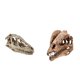 thumbnail image 4 of 2pcs Resina Dinosaurio Cráneo Modelo Dinosaurio Resina Cráneo Modelo Coleccionables, 4 of 5