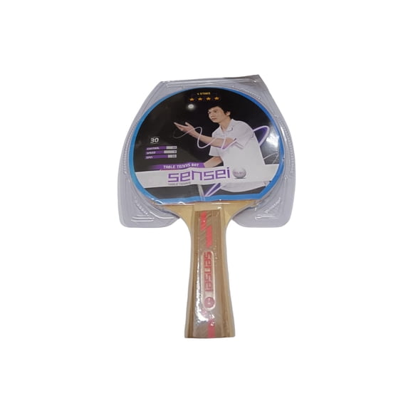 Paleta ping pong 4 estrellas