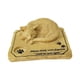 thumbnail image 3 of Piedra Conmemorativa De Gato, Ligera, Presenta Decoración De Condolencia, Marcador De Tumba De Gato Con Agujero, 3 of 5