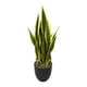 thumbnail image 1 of Sansevieria Verde - Amarilla 69cm Artificial, 1 of 3