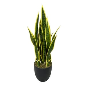 Corel - Sansevieria Verde - Amarilla 69Cm Artificial