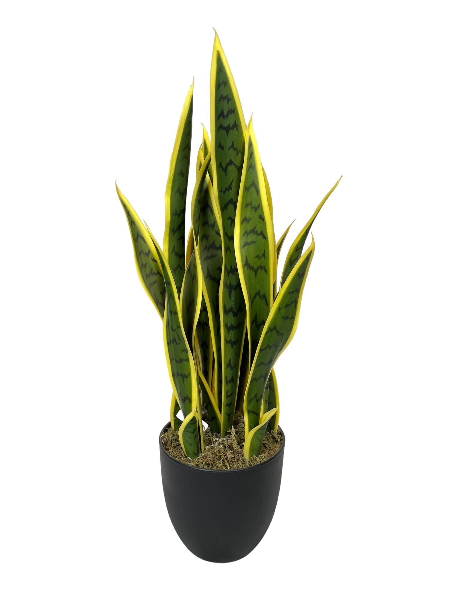 Corel - Sansevieria Verde - Amarilla 69Cm Artificial