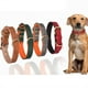 thumbnail image 5 of Collar de cuero para gatos con hebilla ajustable, collar para mascotas pequeñas para gatitos, 5 of 5