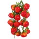 thumbnail image 3 of 5pcs Artificiales Frutas / Verduras Cuerdas Agritainment Granja Decoraciones Para Colgar 14, 3 of 3
