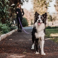 Correa De Paseo Adiestramiento Para Perros Petlounge 3M 2.0 Lila