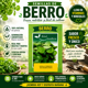 thumbnail image 5 of Semillas de Berro de Agua Brisol para Huerta, 5 of 5