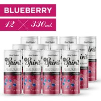 Pack Mg Spirit Blueberry Lata 12 X 330Cc