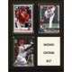 thumbnail image 1 of Placa C&I Collectables MLB Los Angeles Angels 20 x 25 cm marrón, 1 of 1