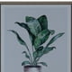 thumbnail image 3 of Cuadro Decorativo Cyclanthus Friend 70 x 50, 3 of 4