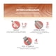 thumbnail image 5 of Cepillo Secador Gama Multistyler UniQ Styler Flow 4 en 1, 5 of 6