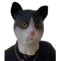 Genérica - Máscara De Gato De Látex