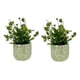 thumbnail image 2 of Set 2 Planta Decorativa Artificial Adorno Botánico Jhn, 2 of 3
