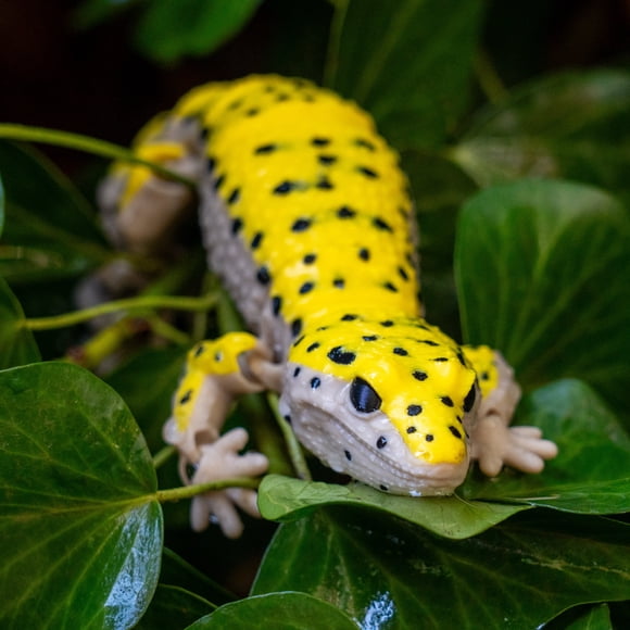 Juguete Gecko Leopardo Articulado