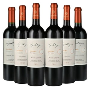 Apaltagua - 6 Vinos Mix Gran Reserva Envero, 750 Ml, 14%