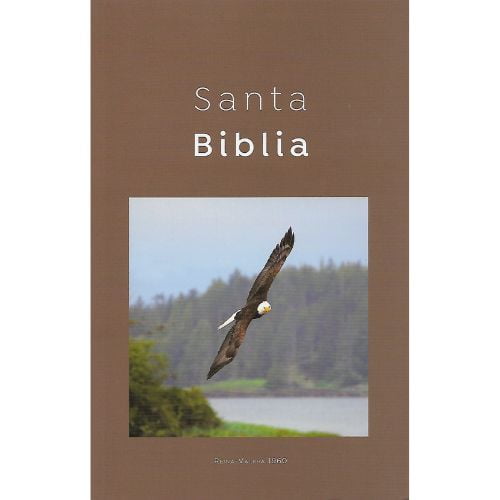 Biblia Reina Valera 1960 Misionera Economica Cafe