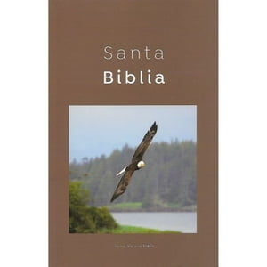 Origen - Biblia Reina Valera 1960 Misionera Economica Cafe