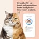 thumbnail image 2 of Kit Test ADN Gato Wisdom Panel Complete 70 Razas 45 Pruebas, 2 of 3