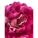 thumbnail image 3 of Peonia Fucsia 45cm Con Acabado Natural, 3 of 3