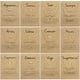 thumbnail image 2 of Gorgeous 3-Pack Zodiac Alphabet Symbols Rhinestone Clavicle Chain Necklaces, 2 of 5