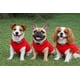 thumbnail image 3 of Suéter para perros, chaleco polar JACKO & CO, suave y cálido para perros extragrandes, 3 of 8