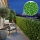 thumbnail image 2 of Jardín Muro vertical artificial P palmeta Plantas 60x40 cm, 2 of 9