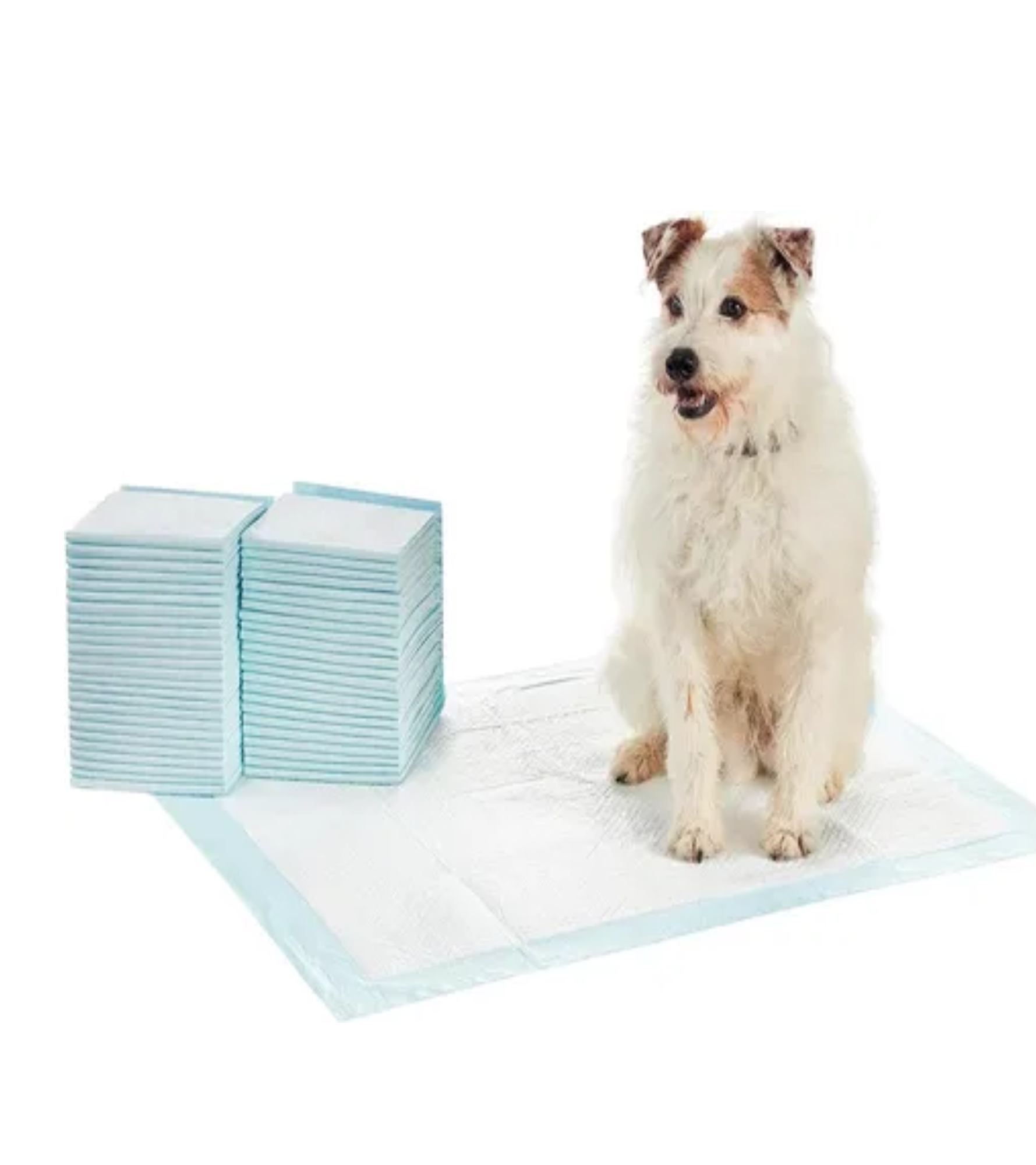 Shuyanshuermei - Sabanillas Pañales 100 Unidades Perros Y Gato 33X45Cm