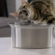 thumbnail image 3 of Bebedero Gato Acero Inox Llave Silenciosa Sensor 4 Filtros, 3 of 9