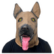 thumbnail image 1 of Máscara De Látex Diseño De Cabeza Perrito Halloween 2025, 1 of 6