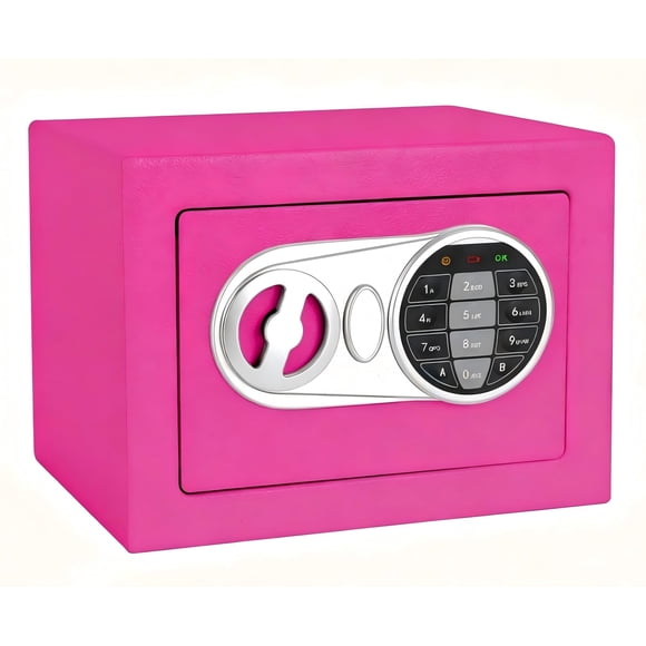 Caja fuerte SamYerSafe Rosa 23 cm × 17 cm × 17 cm Acero