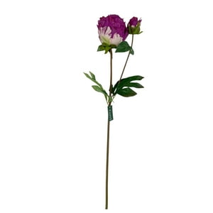 Corel - Peonia Cerrada Fucsia 57Cm