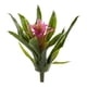 thumbnail image 2 of Bromelia con tallo de flor artificial casi natural, 28 cm, juego de 6, 2 of 3