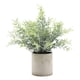 thumbnail image 5 of Planta Suculenta Falsa Artificial En Maceta Mini Plantas En Maceta Decoración De Jardín Para El Hogar Romero, 5 of 5