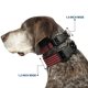 thumbnail image 2 of Collar para Perro Buckle-Down Vintage Bandera de EE. UU. 1.3 cm de Ancho, 2 of 8
