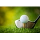 thumbnail image 2 of Tees de Golf WHAMZ33 W de Bambú 7 cm (Pack de 100), 2 of 6