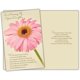 thumbnail image 1 of Tarjeta de condolencias Stockwell Greetings por pérdida de hija (13 × 20 cm), 1 of 1