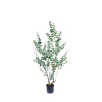 Corel - Planta Decorativa Árbol De Eucalipto 180 Cm