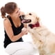 thumbnail image 4 of Collares para perros y gatos con pajaritas ajustables y desmontables, de caballero., 4 of 5
