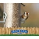 thumbnail image 3 of Corazones de girasol gruesos Bird Seed CountryMax, 22,68 kg, sin cáscara, 3 of 5