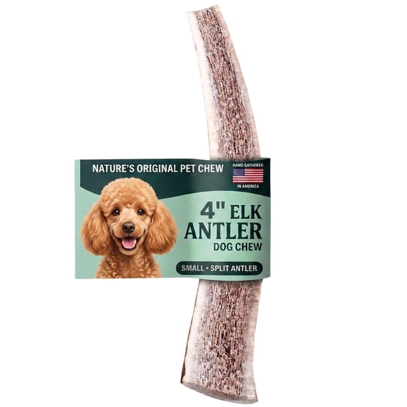 Mordedor de Cuerno de Alce Mountain Valley Antlers 10 cm Dividido – 1 Unidad